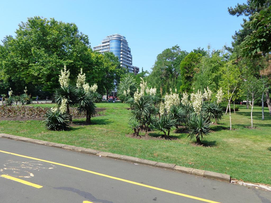 Zoya Apartment Бургас Экстерьер фото